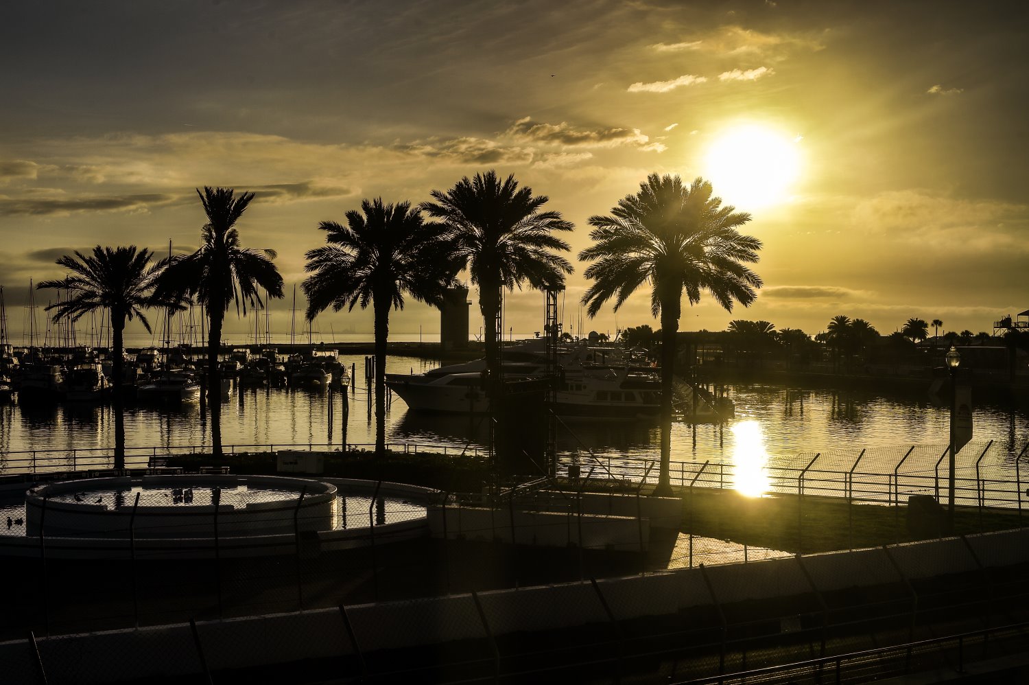 St. Pete GP to sunset the IndyCar season