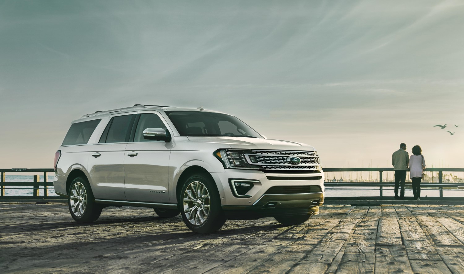 2019 Ford Expedition Platinum in Ingot Silver