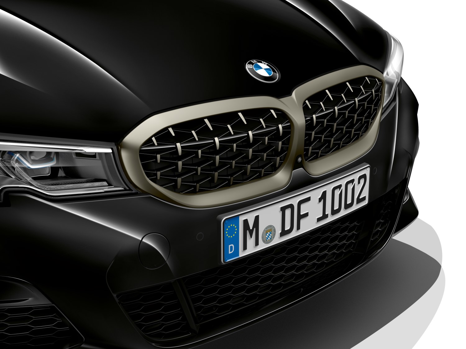 BMW kidney grill