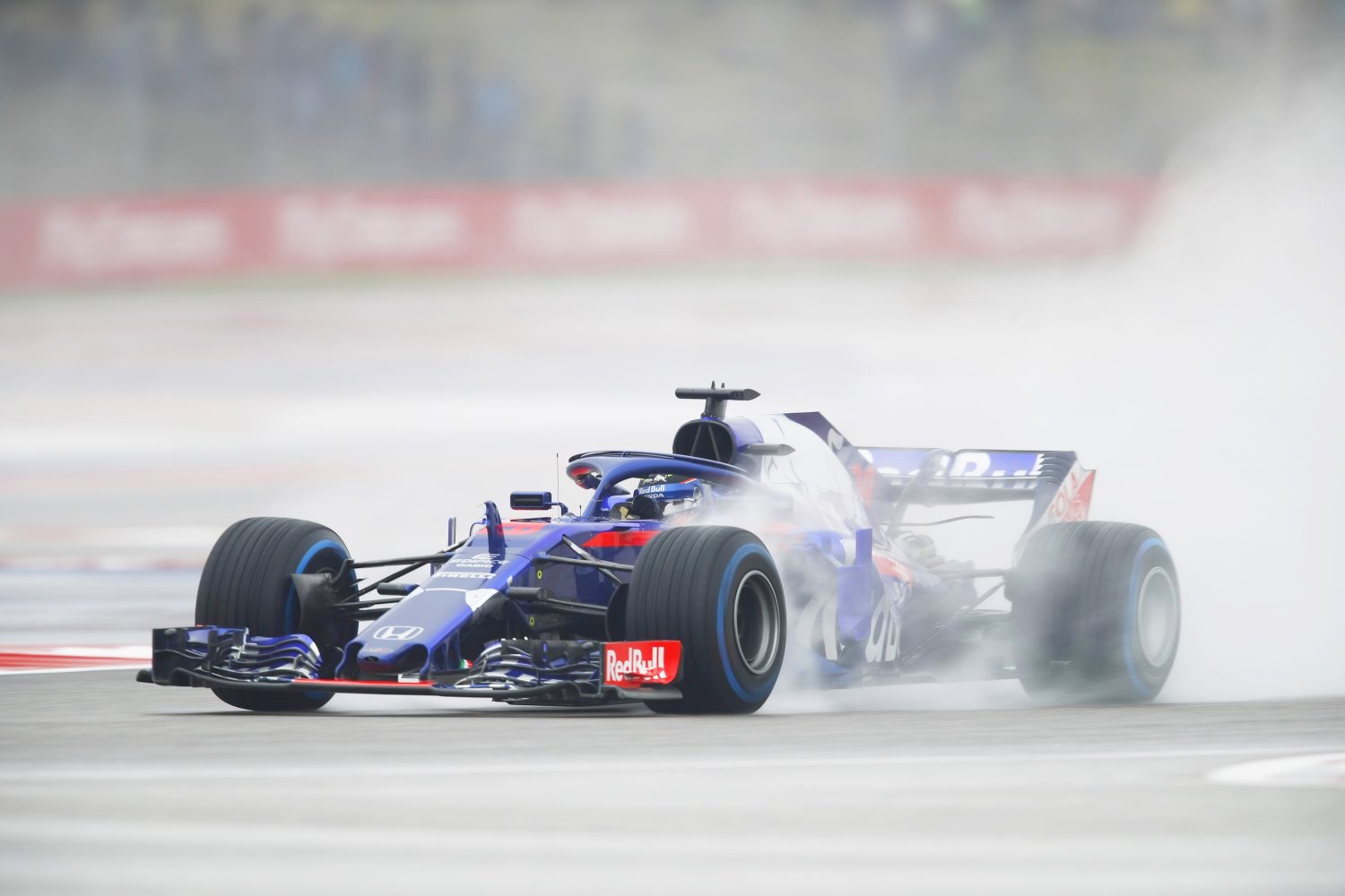 Hartley in the rain in Austin