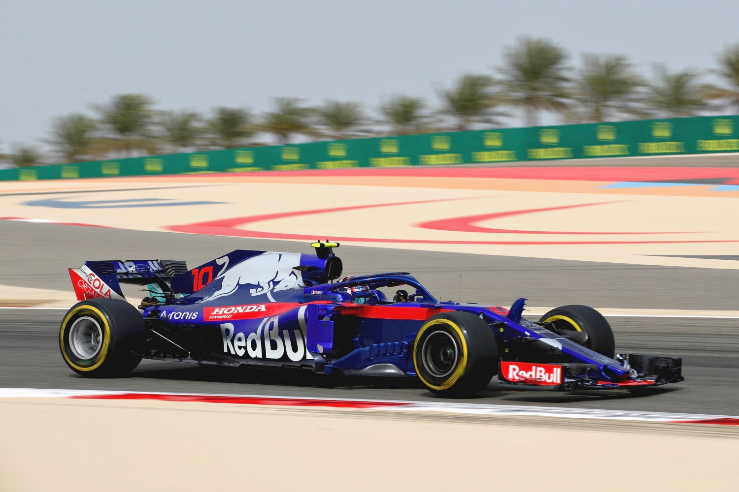 Gasly in the Honda powered Toro Rosso. Both Honda cars outqualified both McLarens