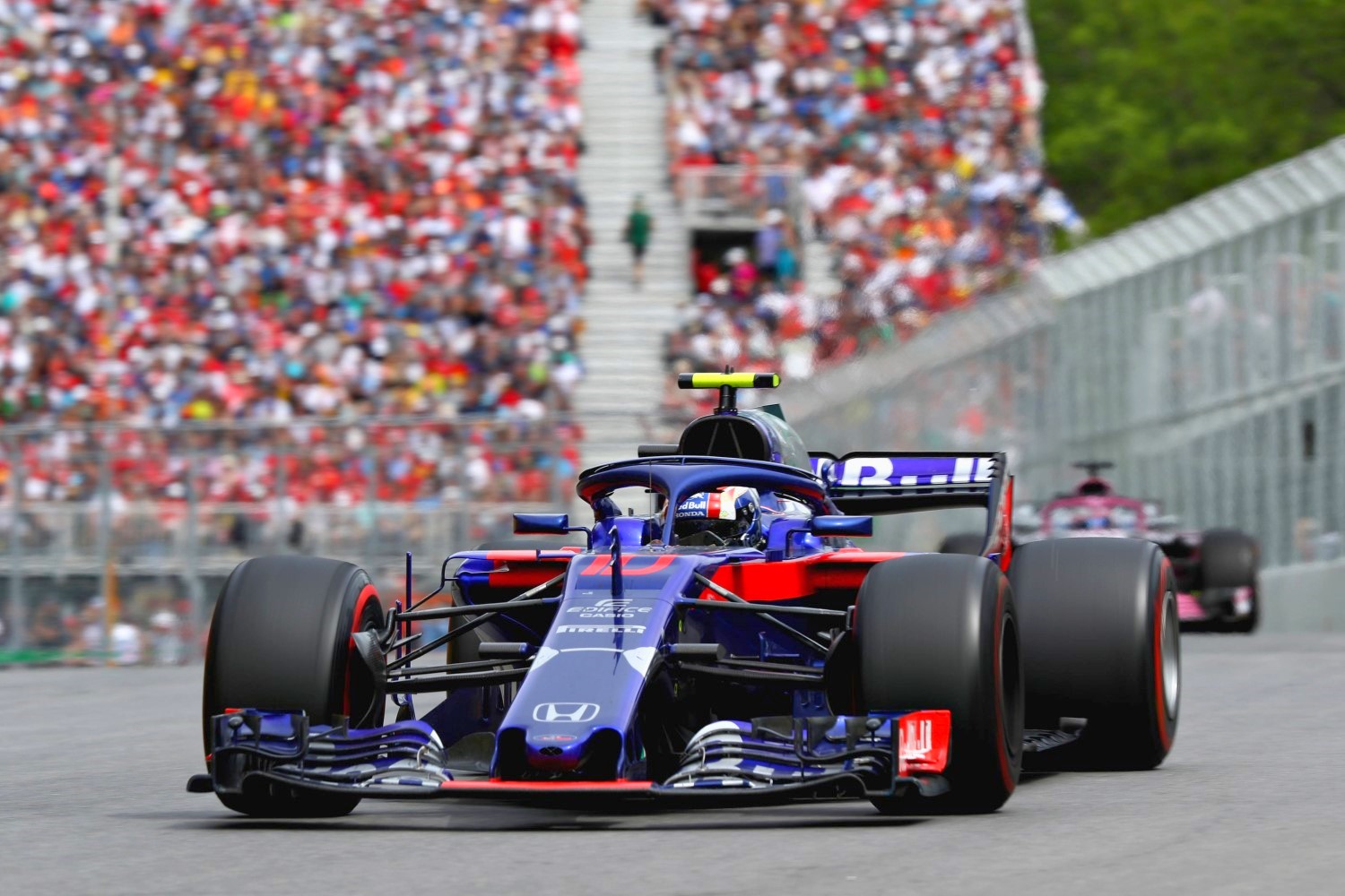 Toro Rosso to have equal engines