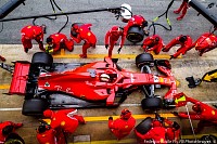 Vettel55.jpg