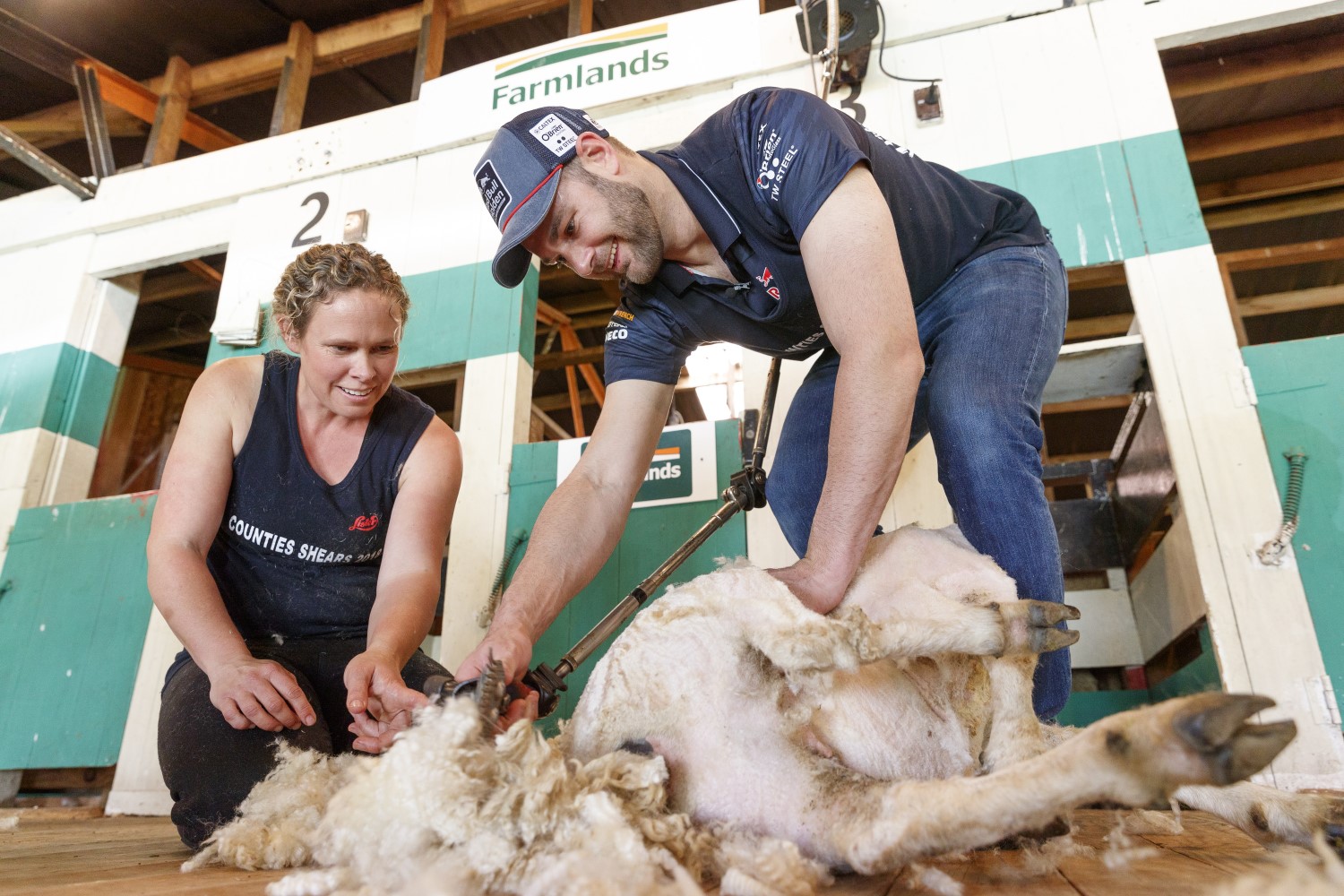 van Gisbergen liked sheering a sheep