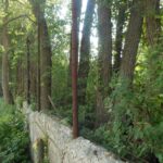 The most recognizable part of Armscamp's ruins is the old main straightaway retaining wall