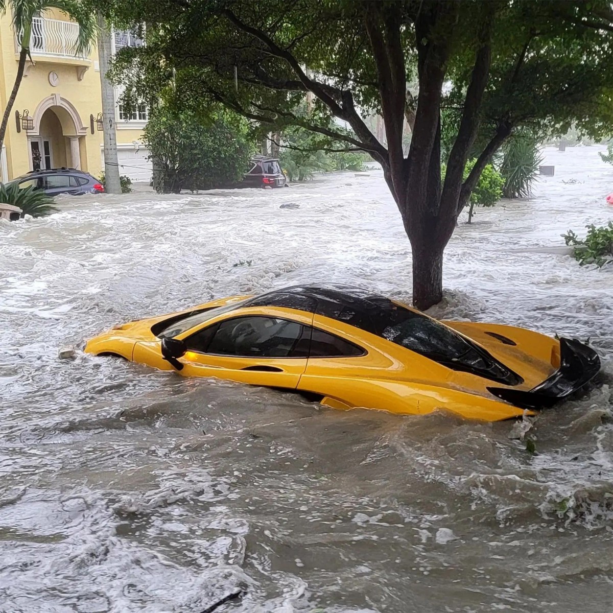 Thousands Of Cars Damaged By Hurricane Ian Are Up For Auction At Bargain  Prices