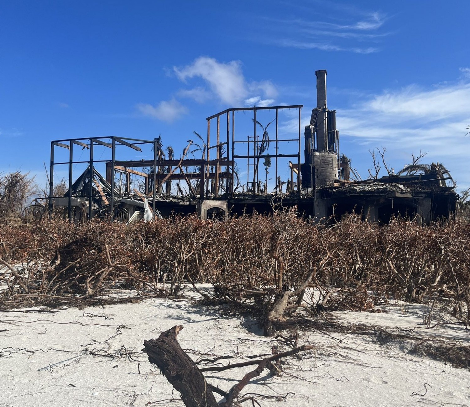 Electric vehicles are exploding in Florida as Hurricane Ian's