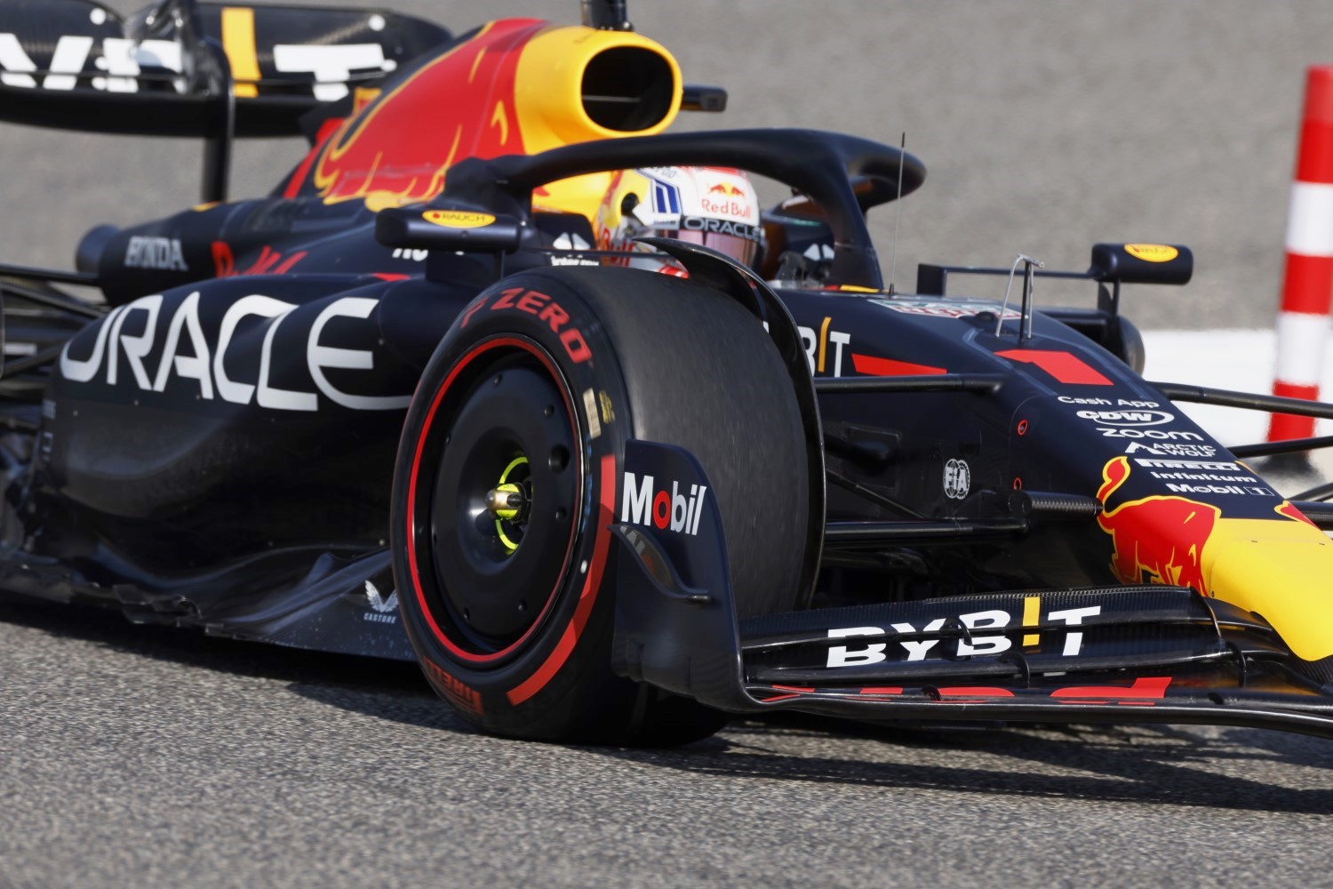 Max Verstappen in the RB19