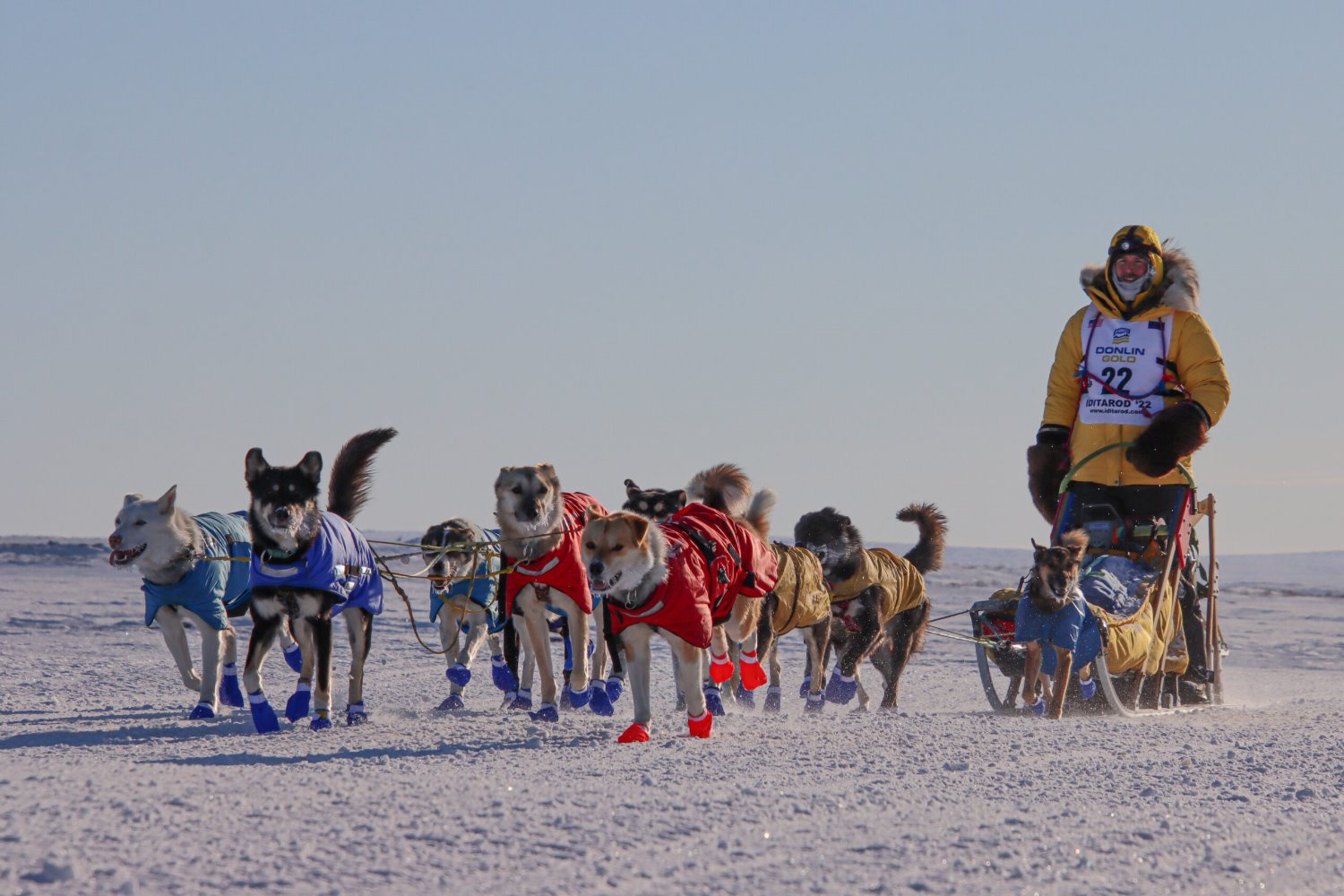 Iditarod