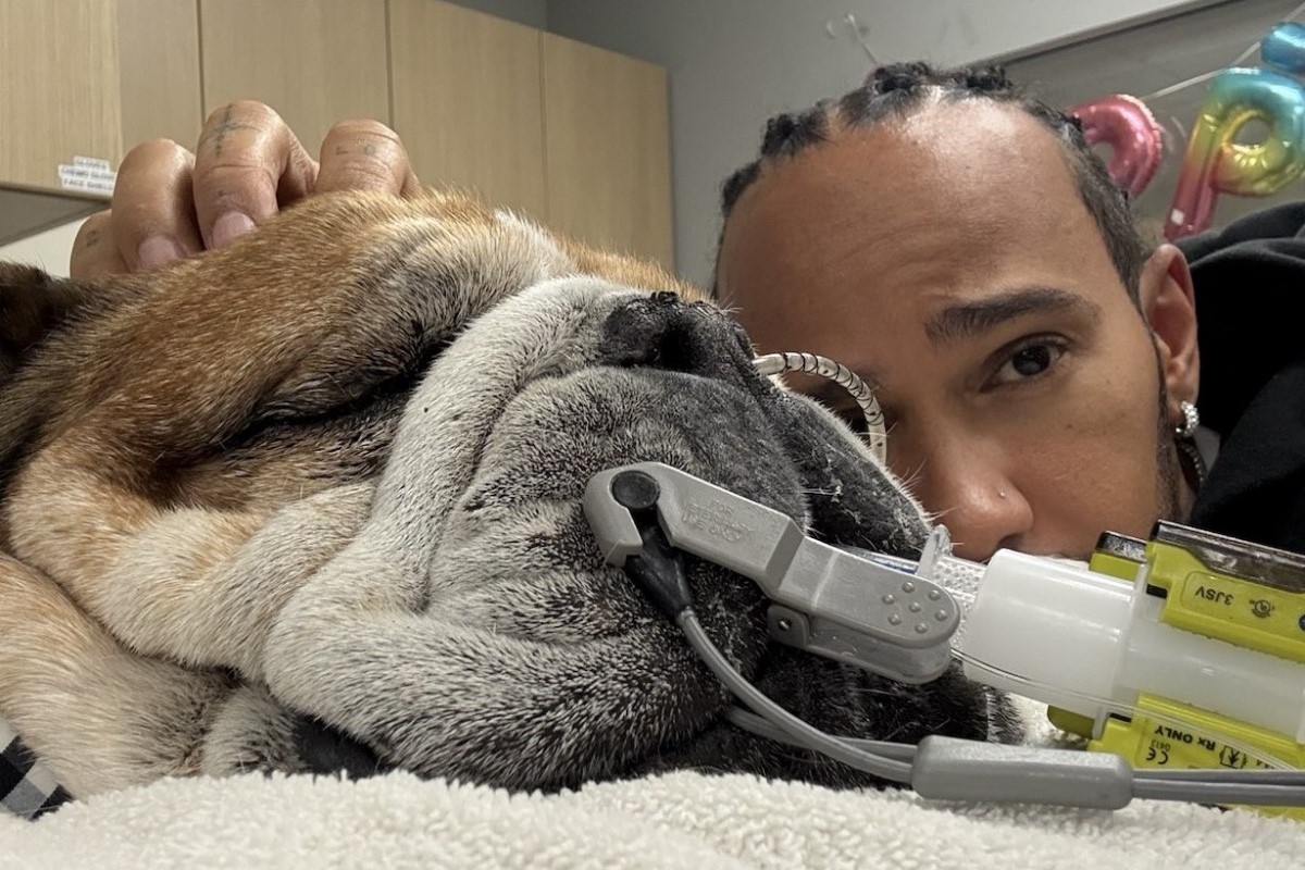 Lewis Hamilton with his sick dog Roscoe. Photo provided by Lewis Hamilton on X