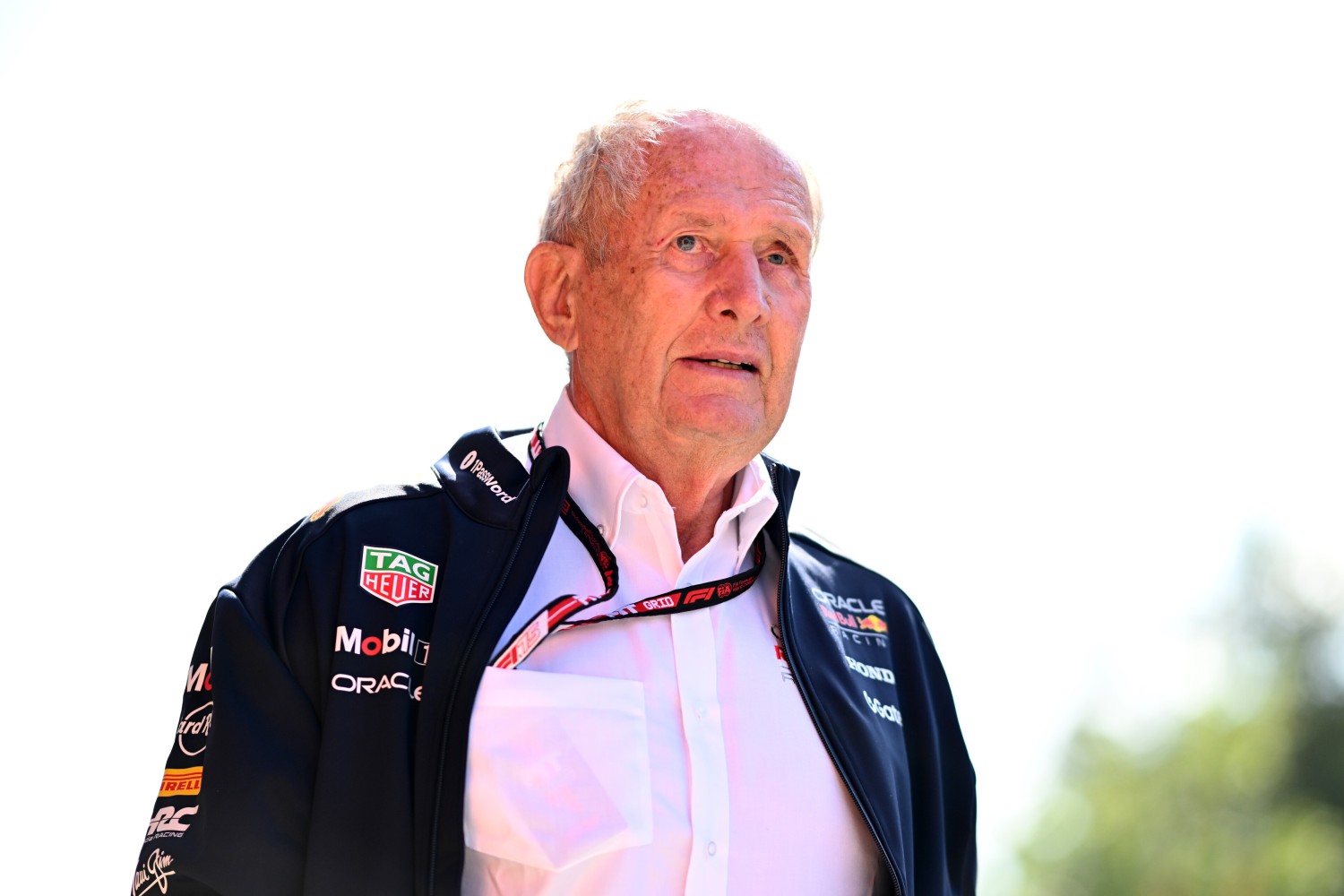 Dr Helmut Marko