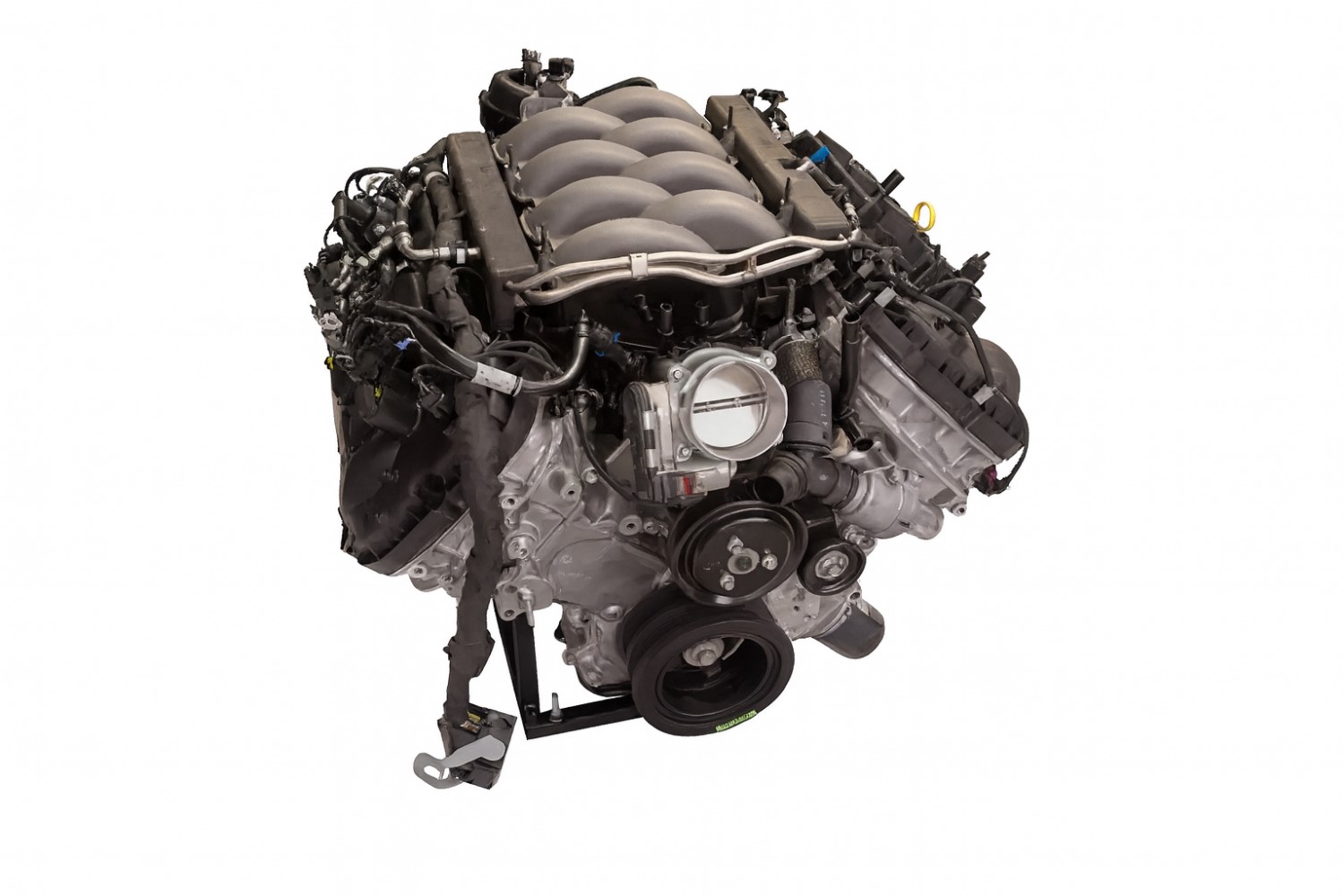 Ford Coyote Engine. Image supplied by Ford Performance