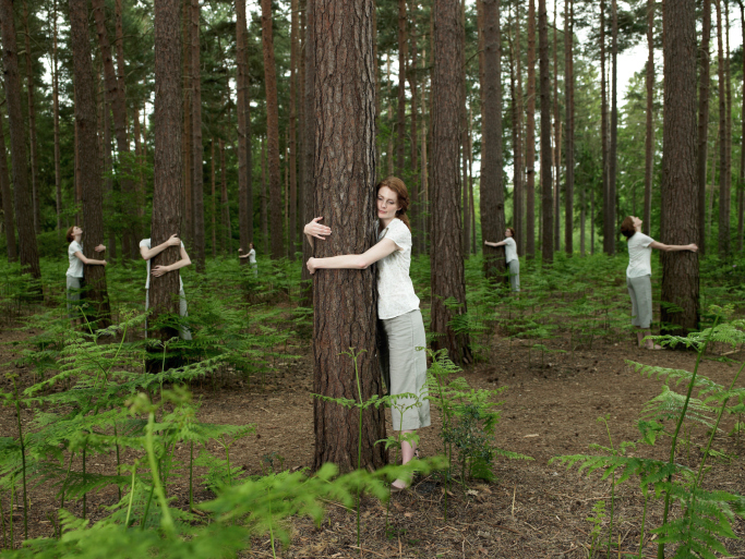 For 8 weeks or so every year the tree huggers will have to find another park to hug their trees