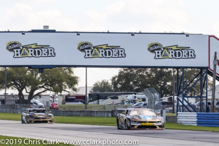 Teammates Loshak and Drisi Share Front Row for Sebring Trans Am