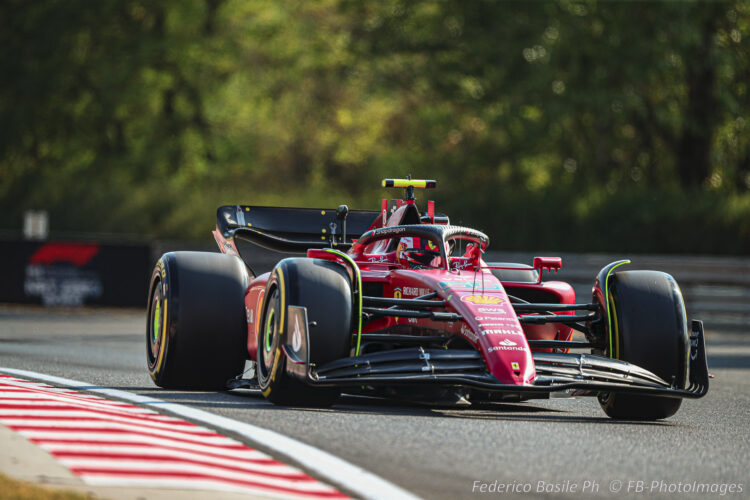 F1: Scenes from the Hungarian GP – Friday