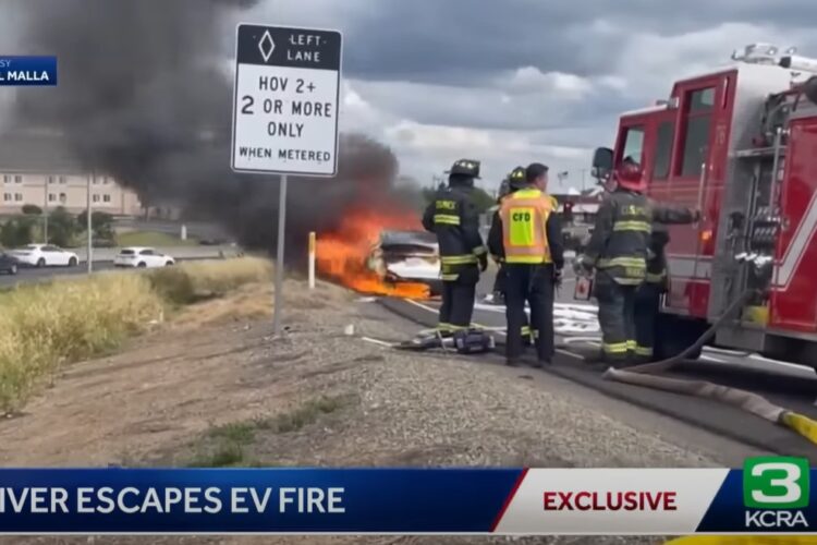 Video: Tree-Hugger watches his Tesla burn to a crisp