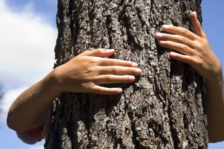 Automotive: Tree-hugger green energy is neither green nor energy – Epstein