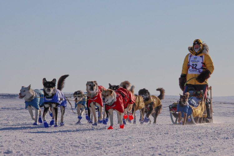 Formula 1 News: Liberty Media urged to end support of Iditarod